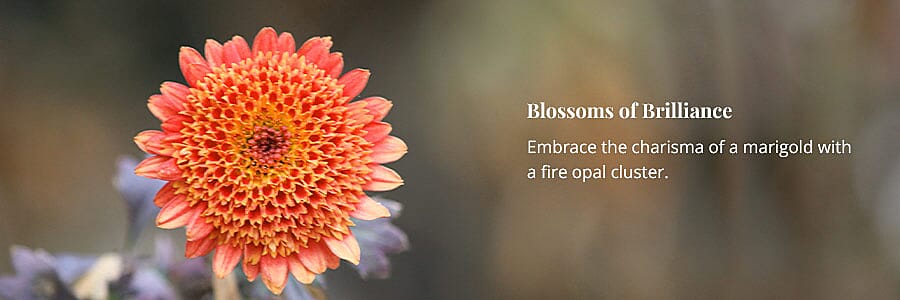 Blossoms of Brilliance Banner