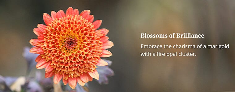 Blossoms of Brilliance Banner