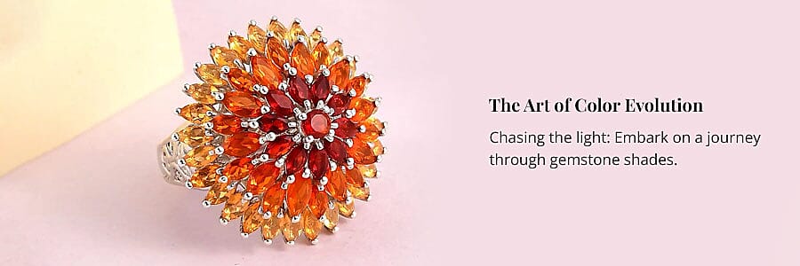 The Art of Color Evolution Banner