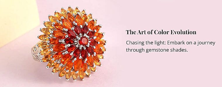 The Art of Color Evolution Banner