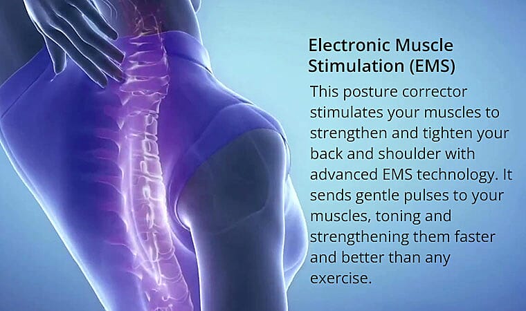 Electronic Muscle Stimulation (EMS) Banner