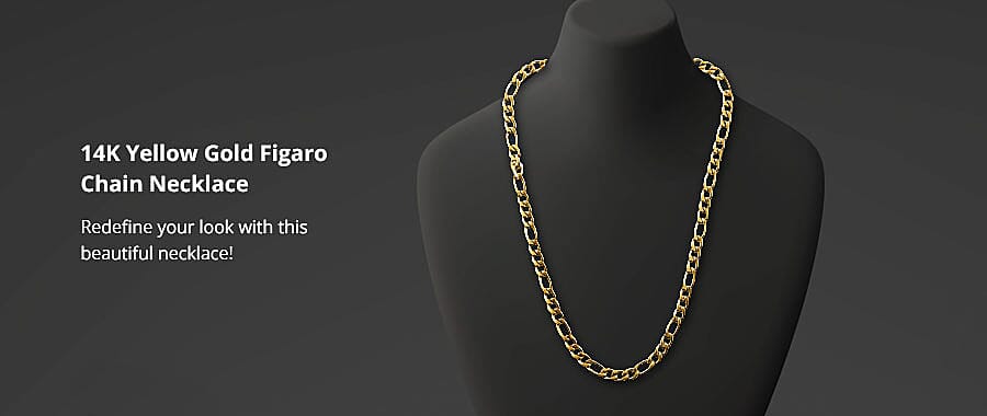 14K Yellow Gold Figaro Chin Necklace Banner