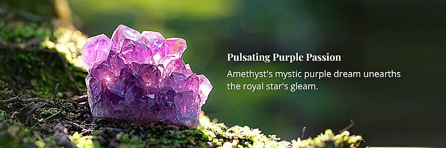 Pulsating Purple Passion Banner