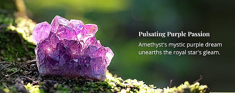 Pulsating Purple Passion Banner