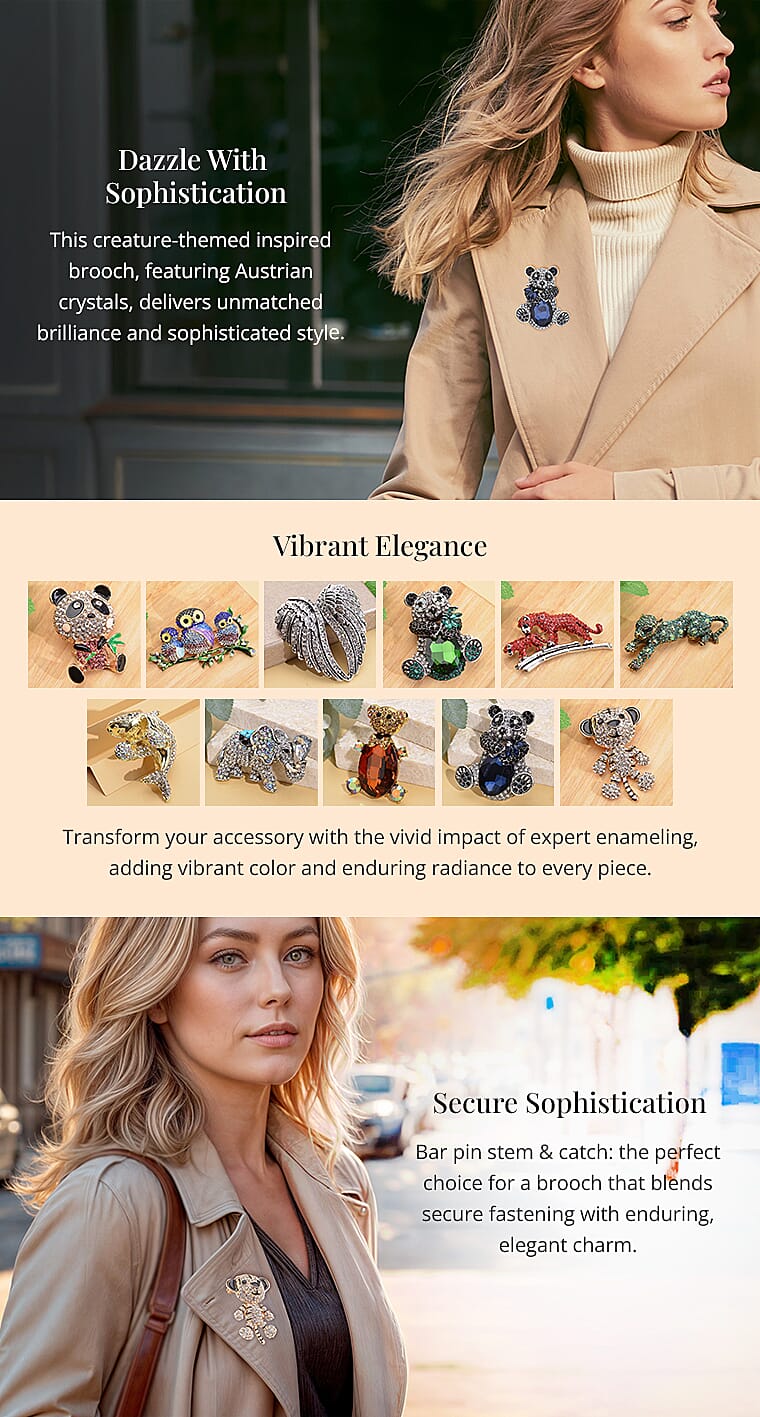 Crystal and Enameled Brooch in SilvertoneBanner