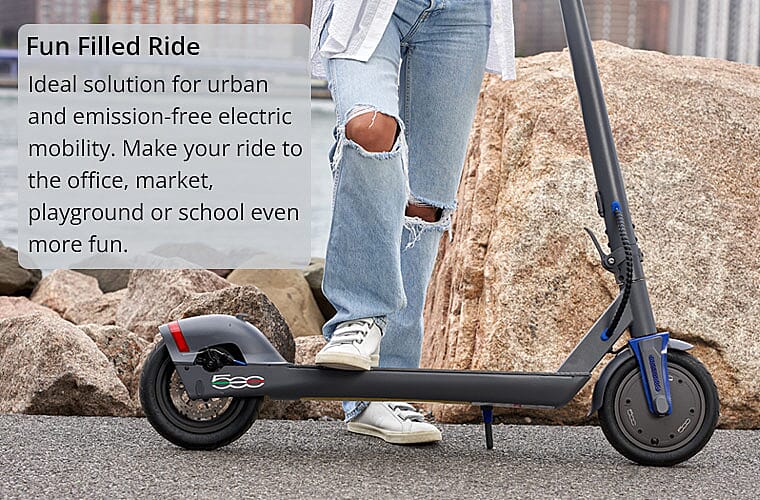 Fun Filled Ride Banner