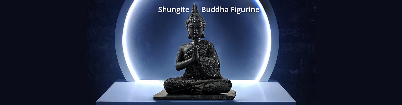 Shungite Buddha Figurine Banner