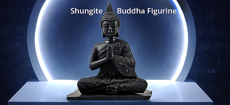 Shungite Buddha Figurine Banner