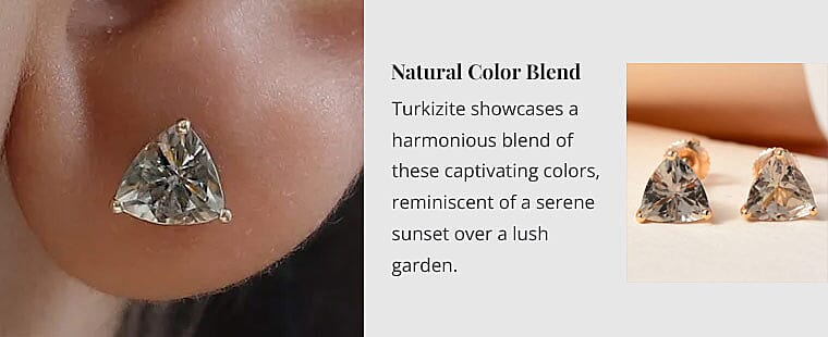 Natural Color Blend Banner