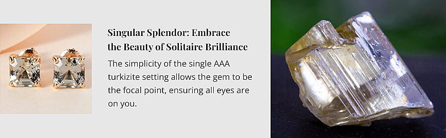 Singular Splendor Banner