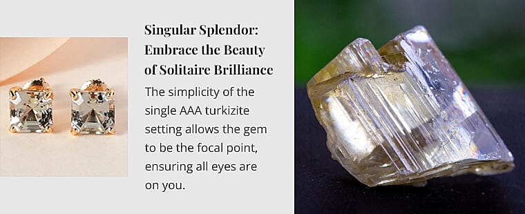 Singular Splendor Banner