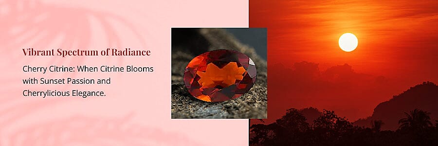 Vibrant Spectrum of Radiance Banner