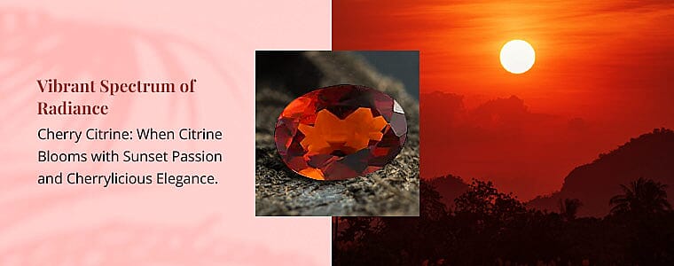 Vibrant Spectrum of Radiance Banner