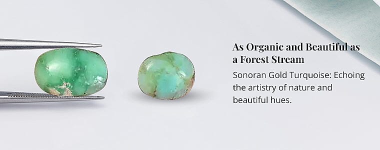 As Organic and Beautiful as a Forest Stream Banner