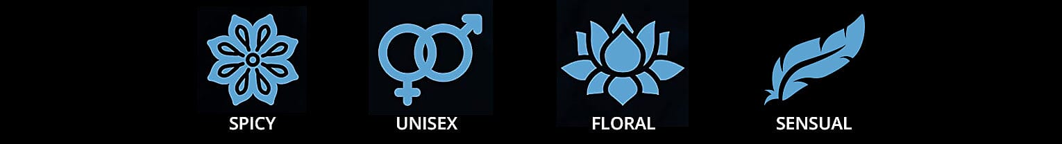 Cher's Beautiful Composition Banner