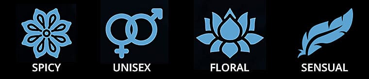 Cher's Beautiful Composition Banner