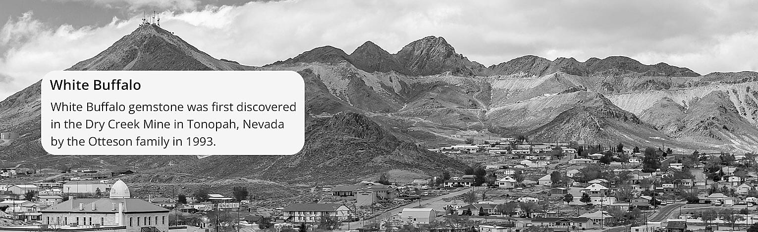 The Distinctive Name