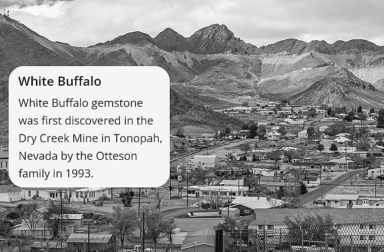 The Distinctive Name