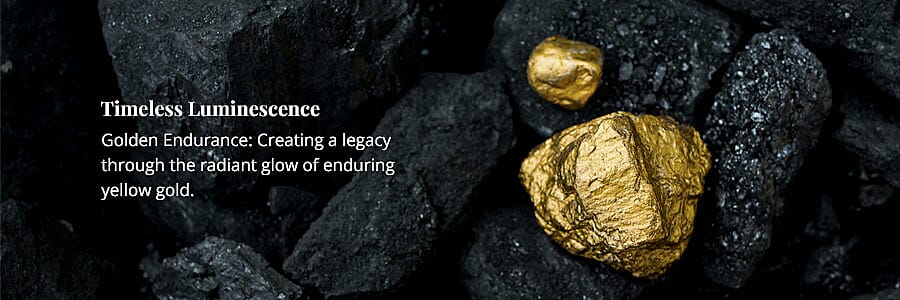 Timeless Luminescence Banner