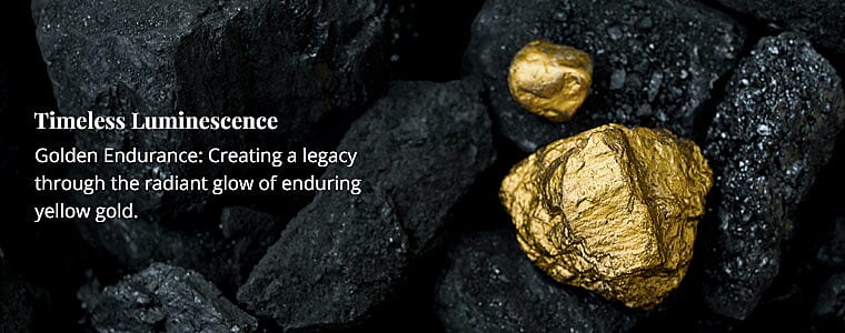 Timeless Luminescence Banner