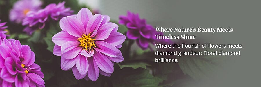 Where Nature's Beauty Meets Timeless Shine Banner