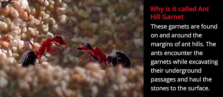 Ant Hill Garnet