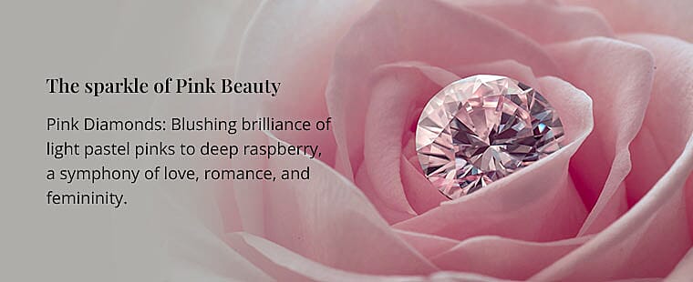 The sparkle of Pink Beauty Banner