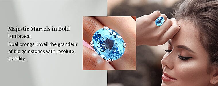 Majestic Marvels in Bold Embrace Banner