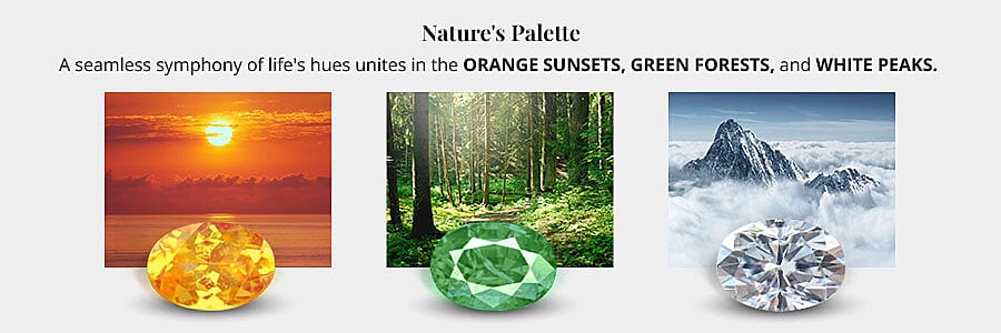 Gleaming Grooves of Elegance Banner