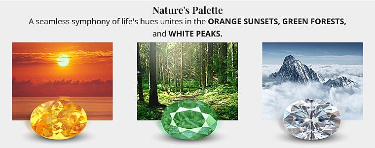 Gleaming Grooves of Elegance Banner