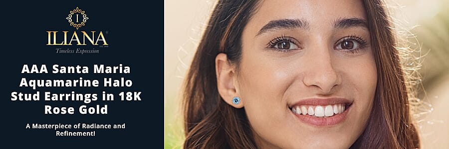 Iliana AAA Santa  Banner