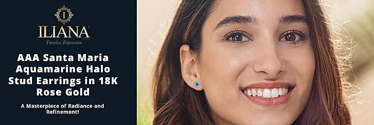 Iliana AAA Santa Banner