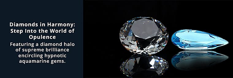 Iliana AAA Santa Banner