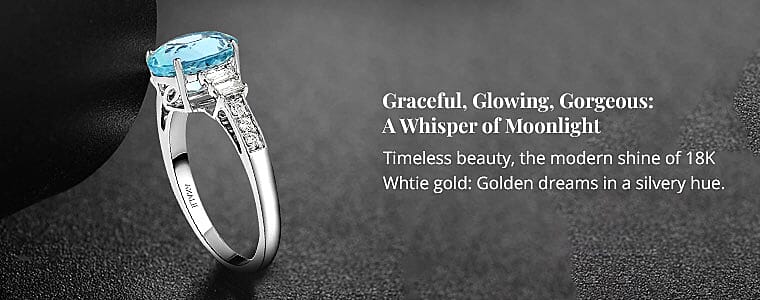 Graceful, Glowing, Gorgeous: A Whisper of Moonlight Banner