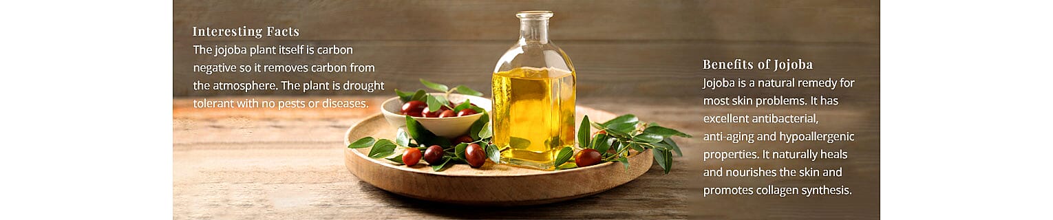 Interesting Facts Banner