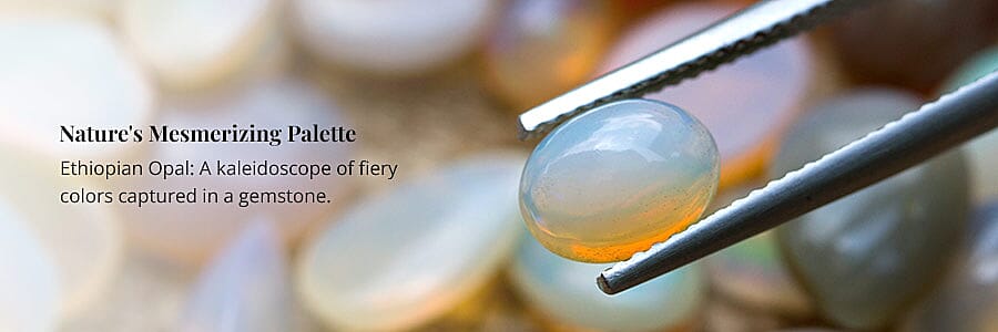 Nature's Mesmerizing Palette Banner