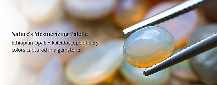 Nature's Mesmerizing Palette Banner