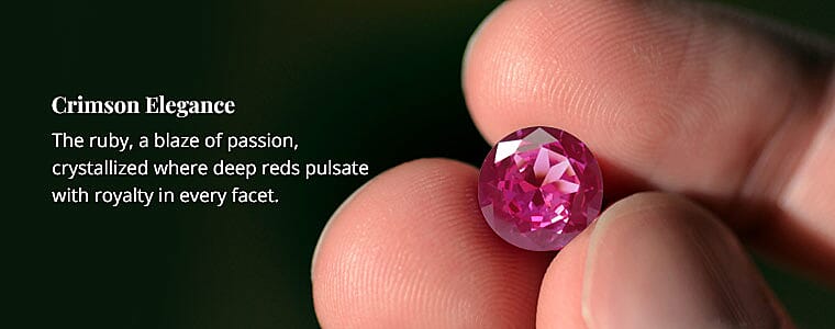 Crimson Elegance Banner