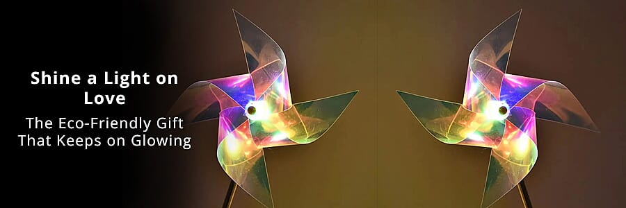 Garden and Landscape Lighting Banner