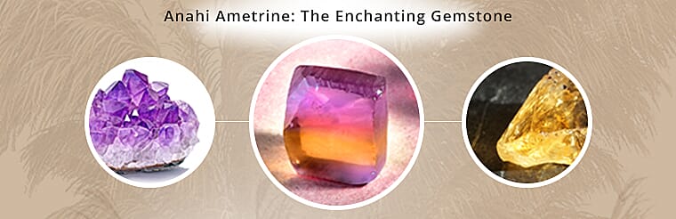 Captivating Colors that Mesmerize Your Senses Banner