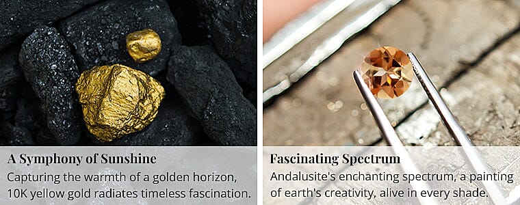 A Symphony of Sunshine Banner