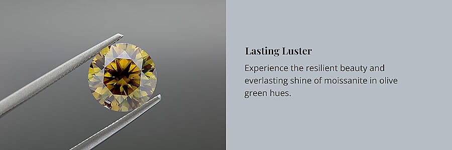 Lasting Luster Banner