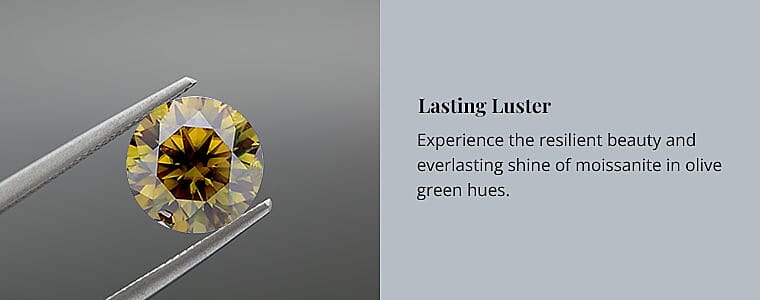 Lasting Luster Banner