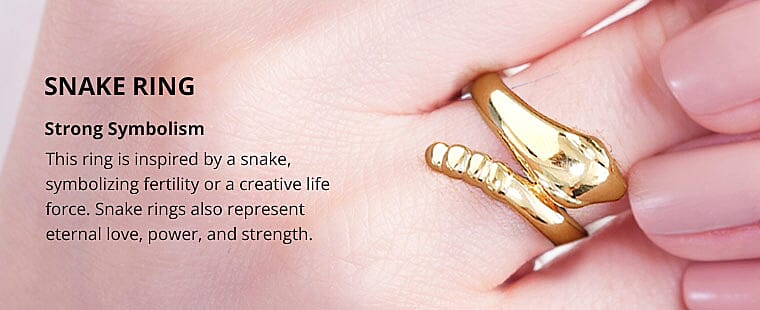 Snake Ring Banner