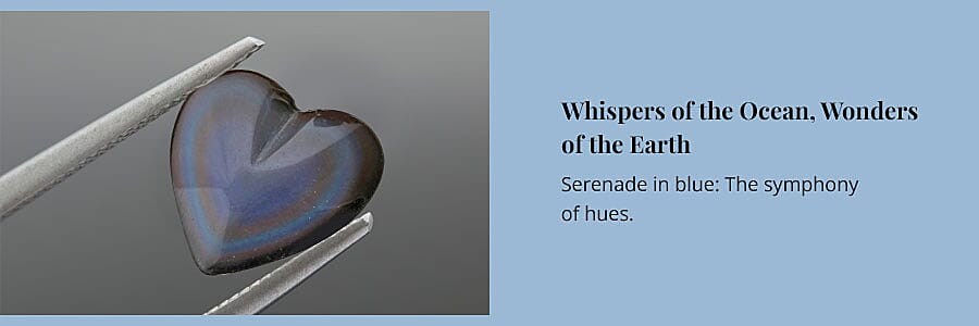 Whispers of the Ocean, Wonders of the Earth Banner