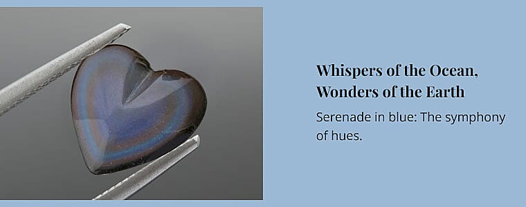 Whispers of the Ocean, Wonders of the Earth Banner