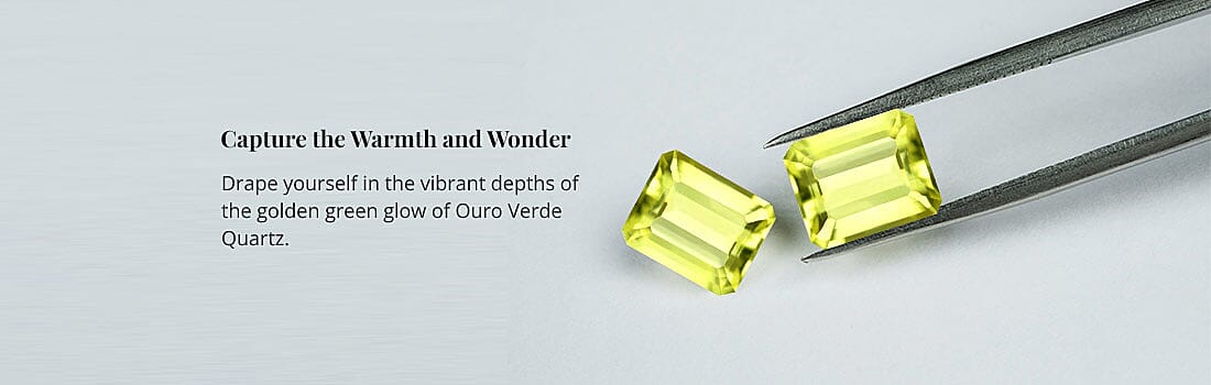 Capture the Warmth and Wonder Banner