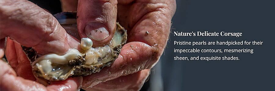 Mighty Claw Reincarnated Banner