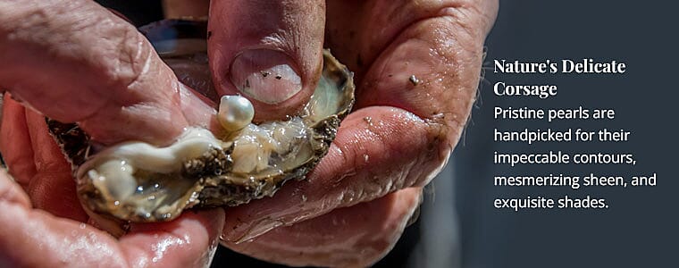 Mighty Claw Reincarnated Banner