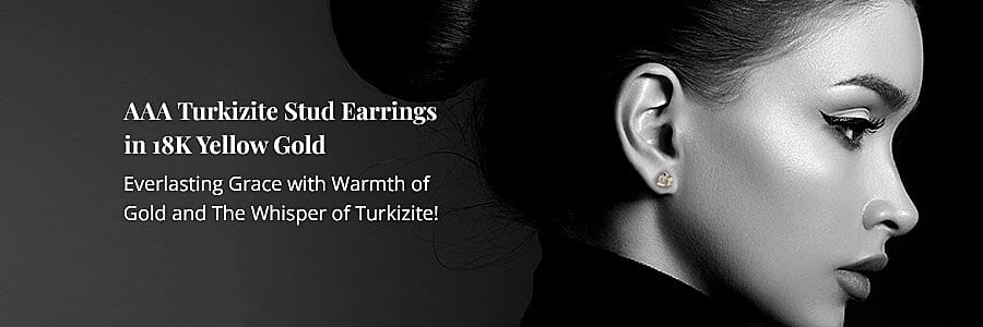 Turkizite Stud Earrings in 18K Yellow Gold Banner